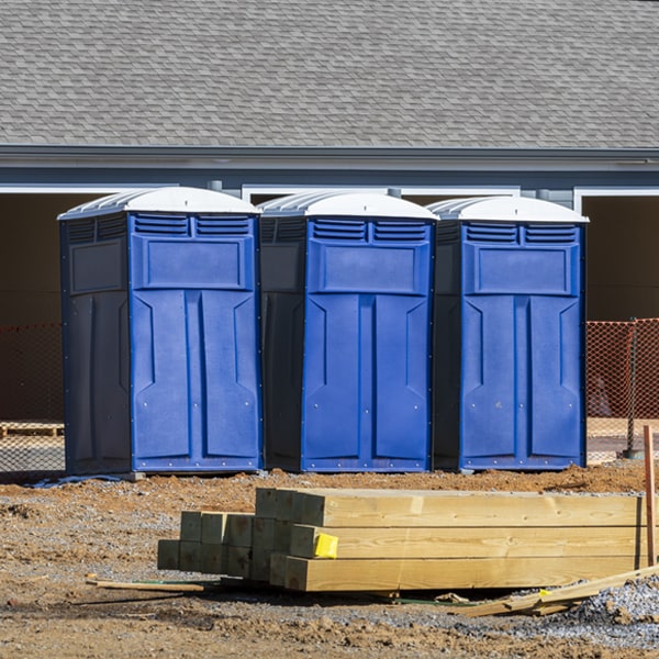 are there different sizes of porta potties available for rent in Wetmore Michigan